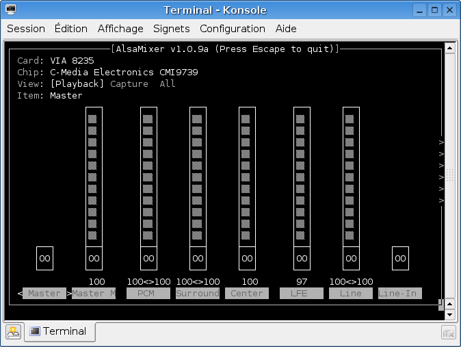 alsamixer.png